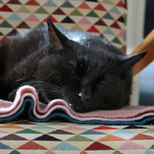 Load the image into the gallery viewer, pet cashmere Premium cosy blanket for pets made of wool and cashmere