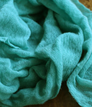 Load the image into the gallery viewer, Pin1876 Cashmere Scarf