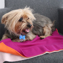 Load the image into the gallery viewer, pet cashmere Premium cosy blanket for pets made of wool and cashmere