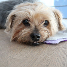 Load the image into the gallery viewer, pet cashmere Premium cosy blanket for pets made of wool and cashmere