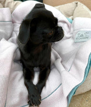 Load the image into the gallery viewer, pet cashmere Premium cosy blanket for pets made of wool and cashmere