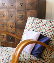 Load the image into the gallery viewer, Swiss Pine Pillow Uni