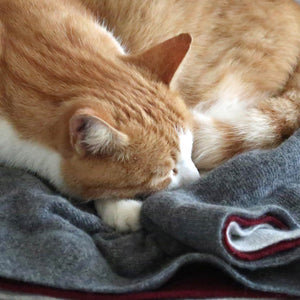 pet cashmere Premium cosy blanket for pets made of wool and cashmere