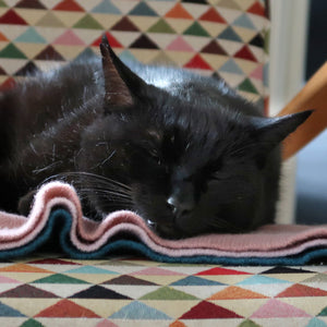 pet cashmere Premium cosy blanket for pets made of wool and cashmere