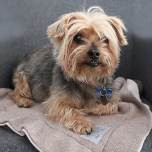 Load the image into the gallery viewer, pet cashmere Premium cosy blanket for pets made of wool and cashmere
