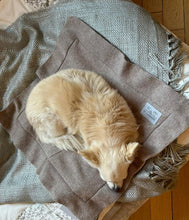 Load the image into the gallery viewer, pet cashmere Premium cosy blanket for pets made of wool and cashmere
