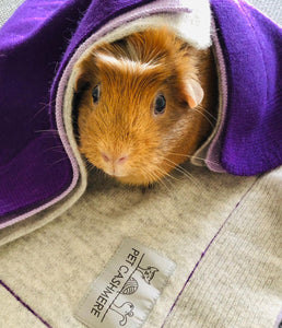 pet cashmere Premium cosy blanket for pets made of wool and cashmere