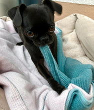 Load the image into the gallery viewer, pet cashmere Premium cosy blanket for pets made of wool and cashmere
